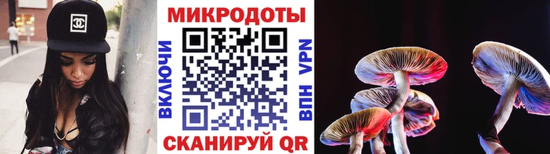 Купить  Гаврилов-Ям  Псилоцибиновые грибы мухоморы 